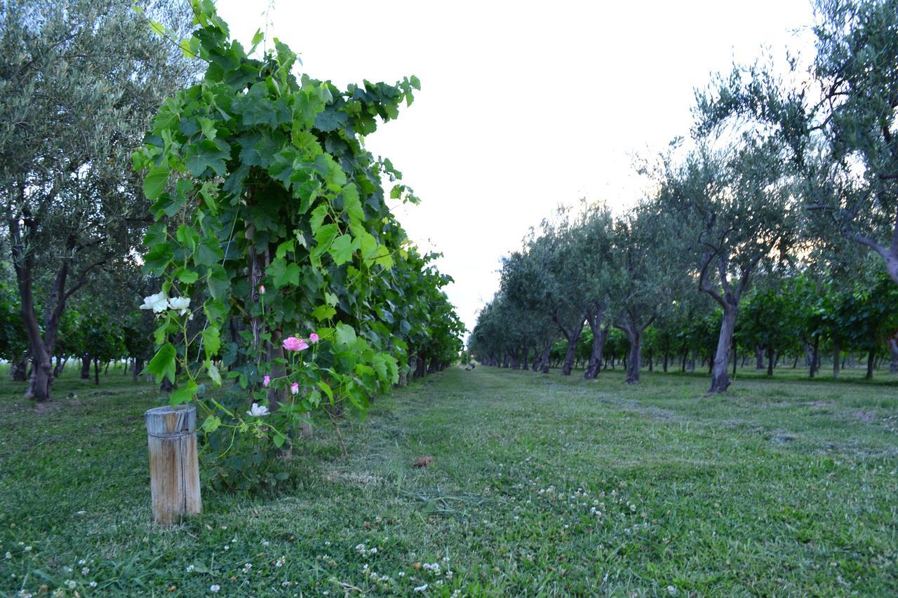 Finca Fisterra Maipu  Bagian luar foto