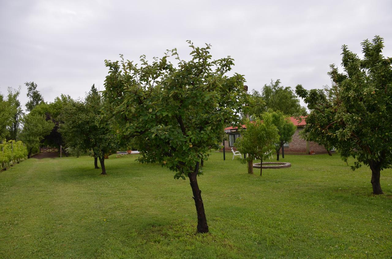 Finca Fisterra Maipu  Bagian luar foto
