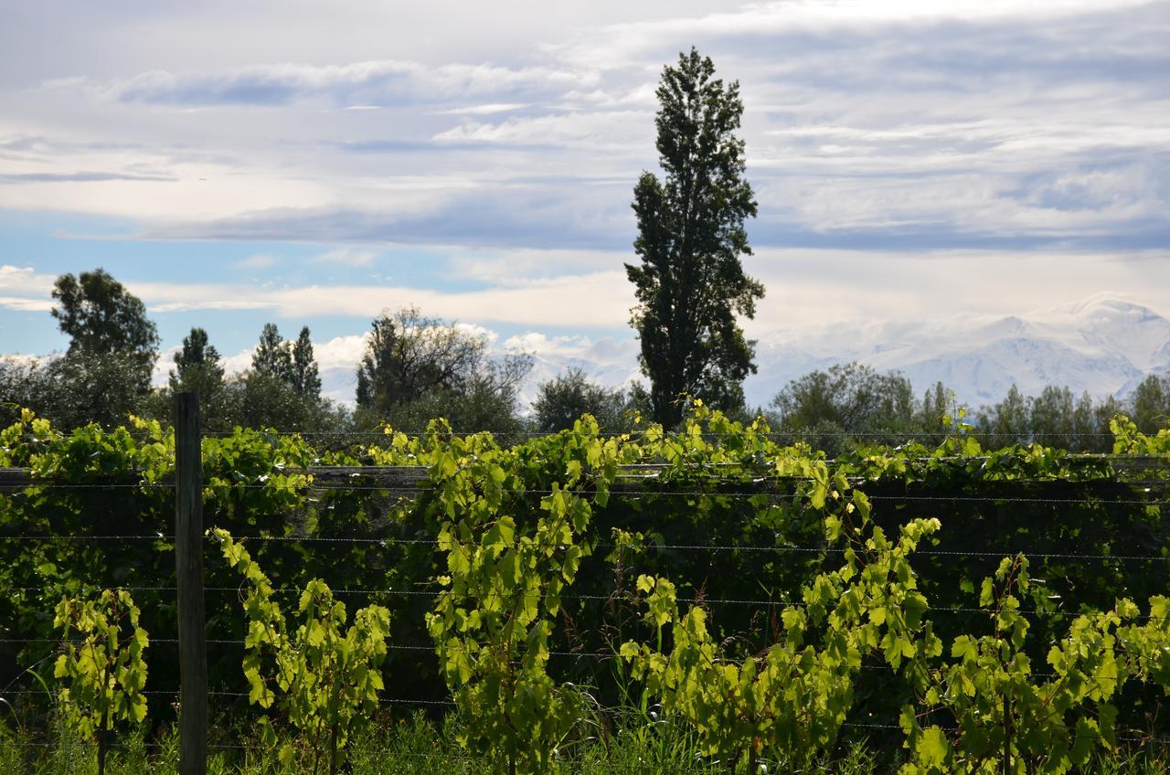Finca Fisterra Maipu  Bagian luar foto