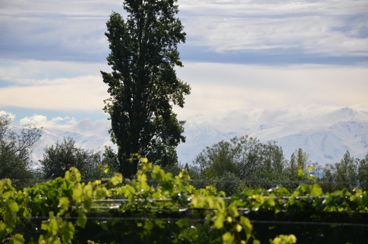 Finca Fisterra Maipu  Bagian luar foto
