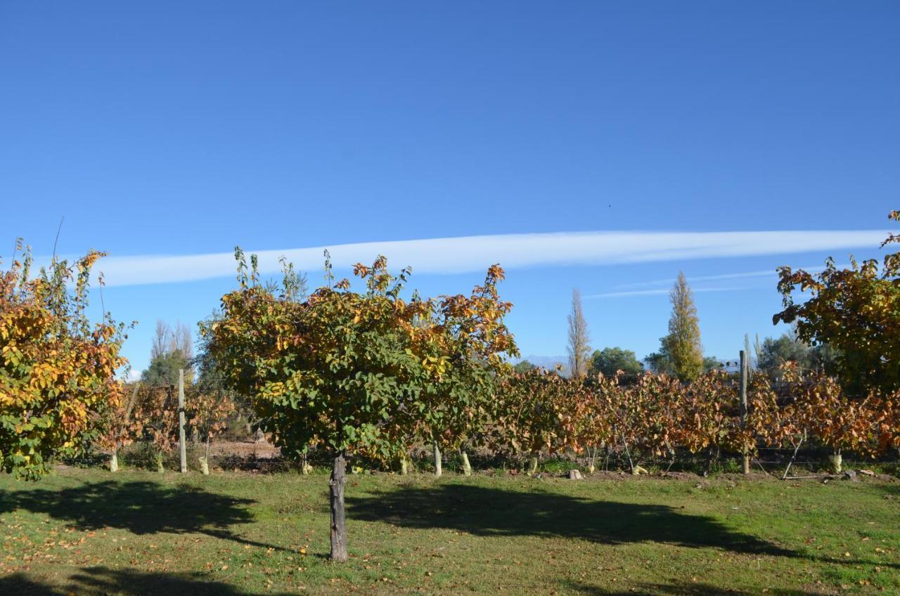 Finca Fisterra Maipu  Bagian luar foto
