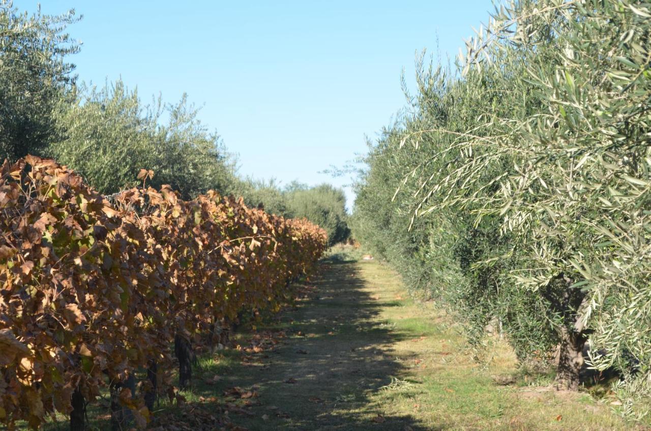 Finca Fisterra Maipu  Bagian luar foto