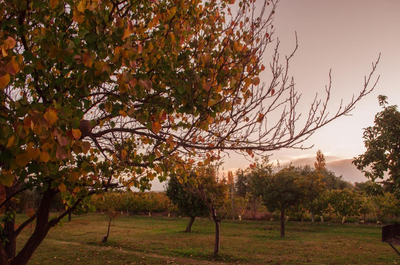 Finca Fisterra Maipu  Bagian luar foto